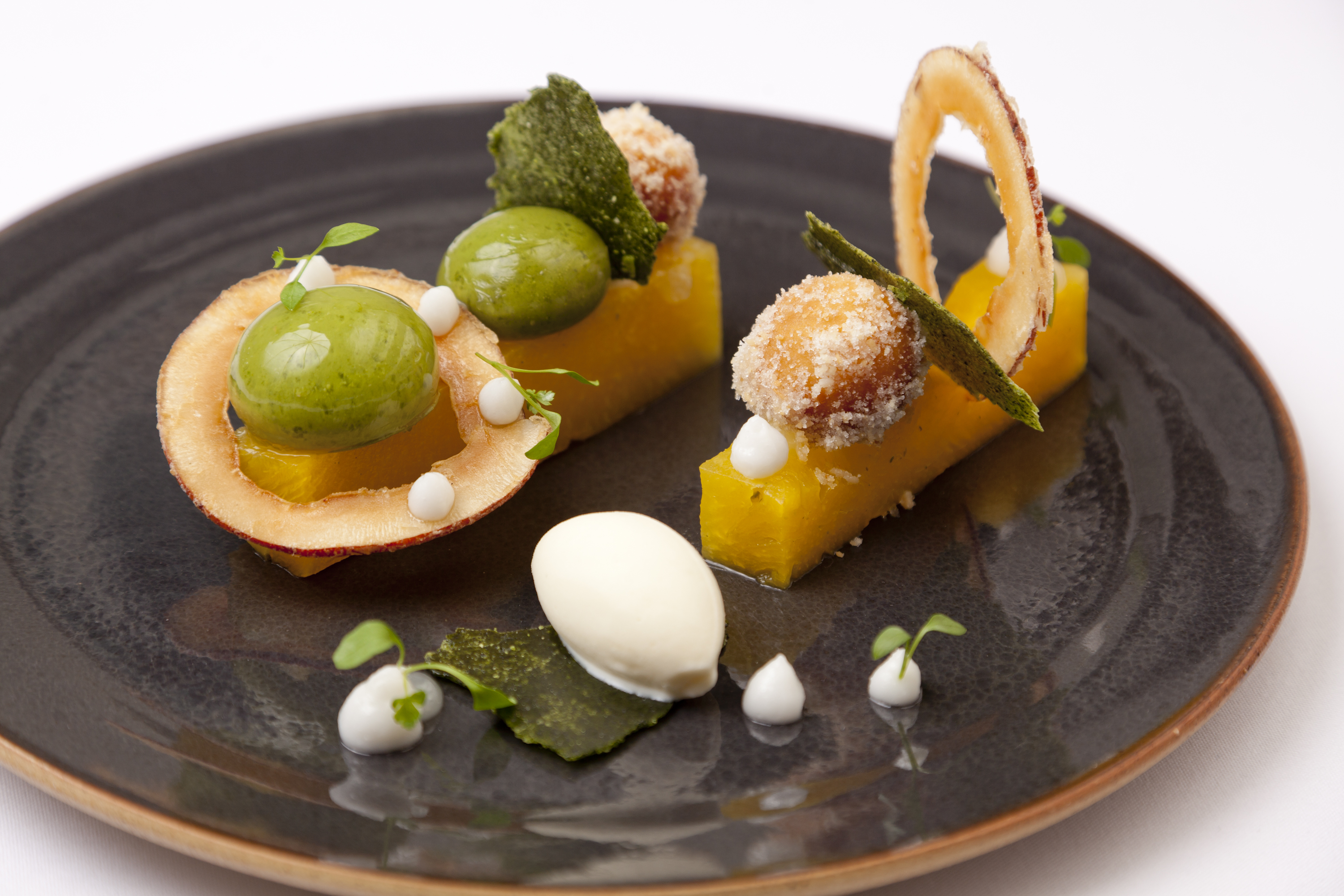 food gastronomy recipes