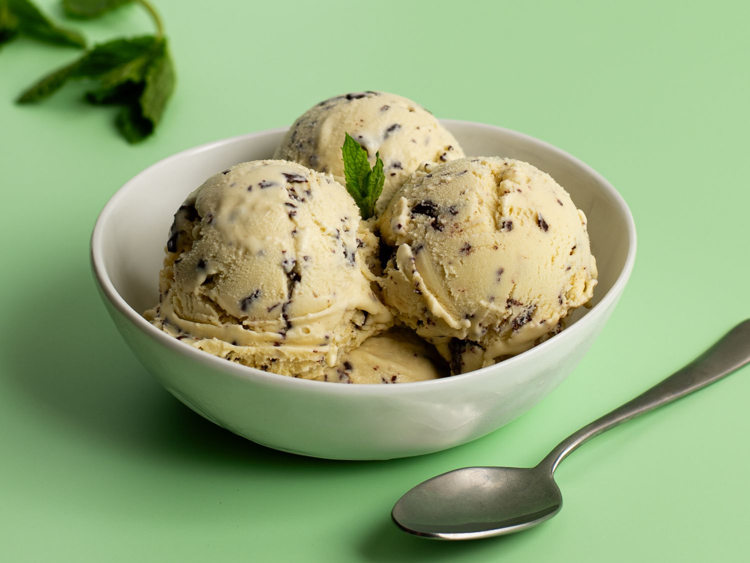 Creamy Fresh Mint Chip Gelato