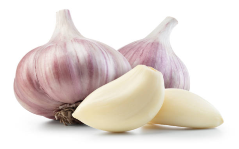 image of garlic