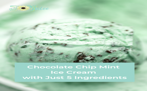 Creamy Fresh Mint Chip Gelato
