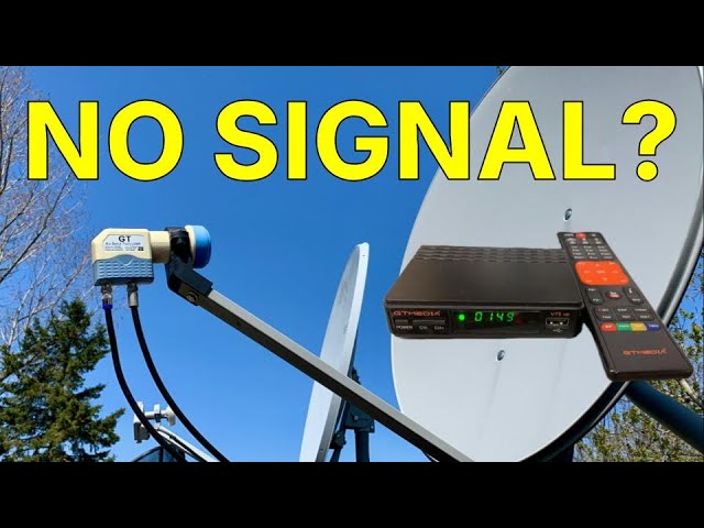 dish no signal