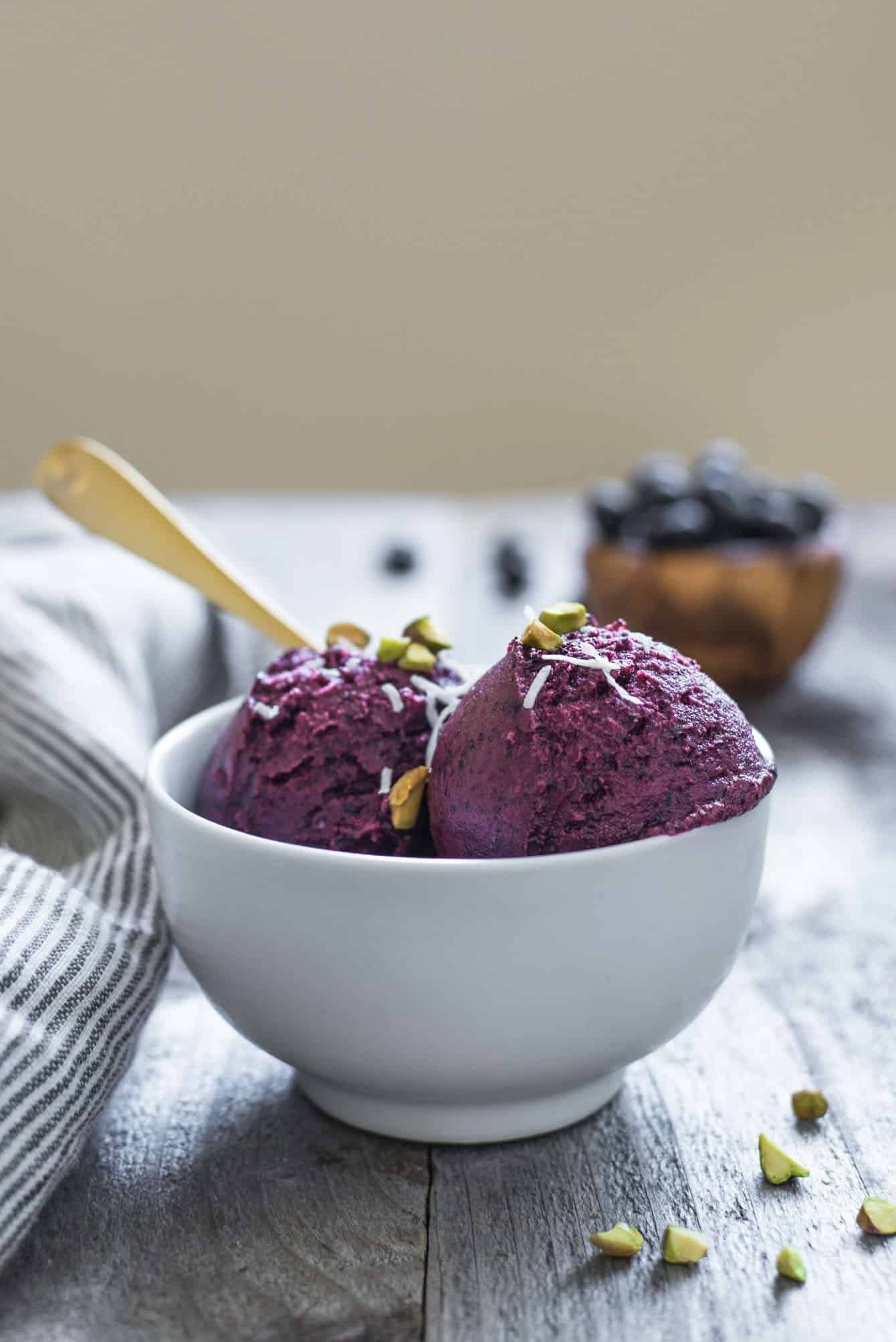 Granita-Inspired Blueberry Frozen Yogurt