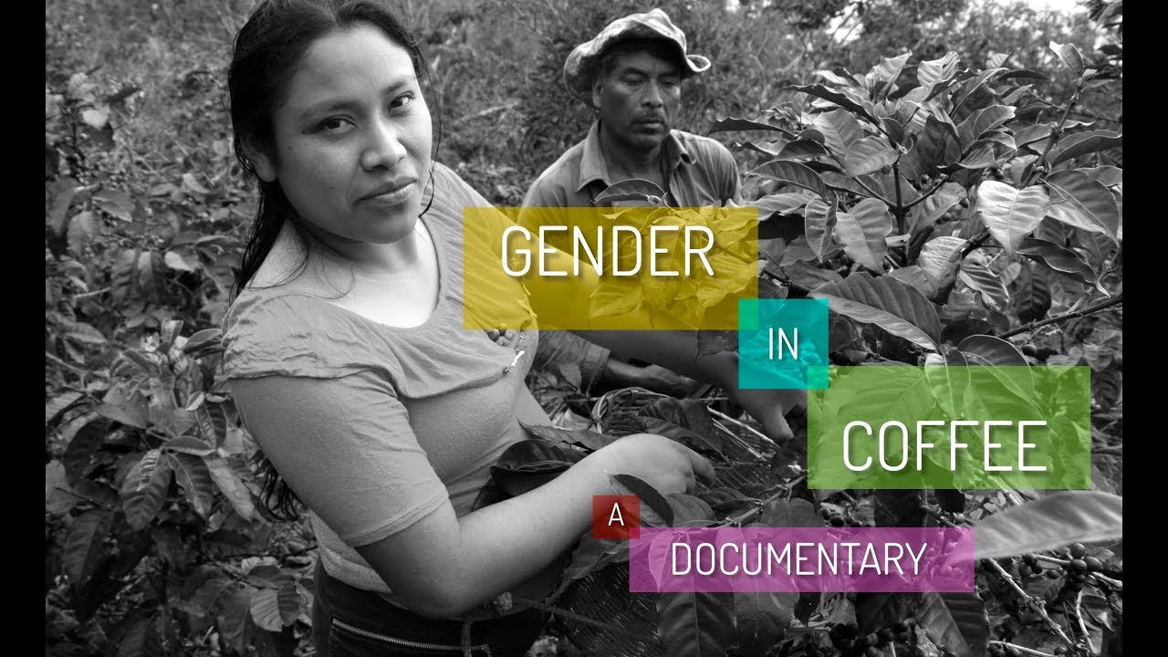New Film on Gender Equity in Coffee Seeking Support