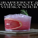 vodka drink recipes