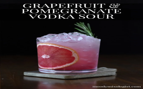 vodka drink recipes