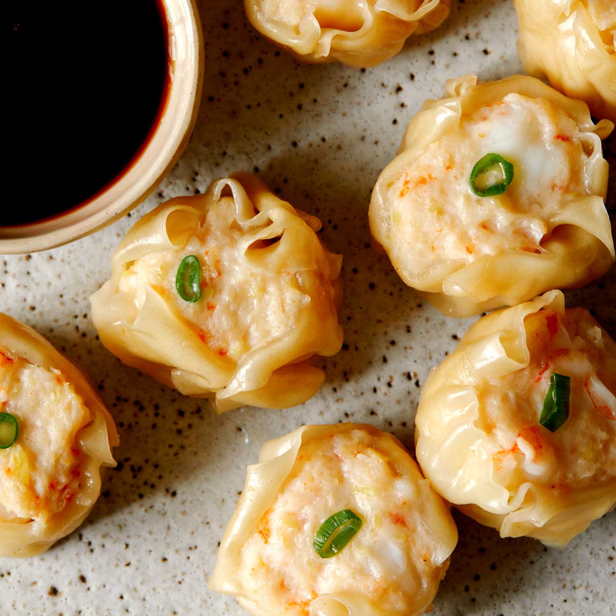 shrimp shumai recipe