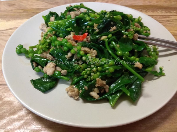 vine spinach recipes
